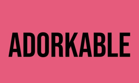What Does Adorkable Mean? - Meaning, Uses and More - FluentSlang