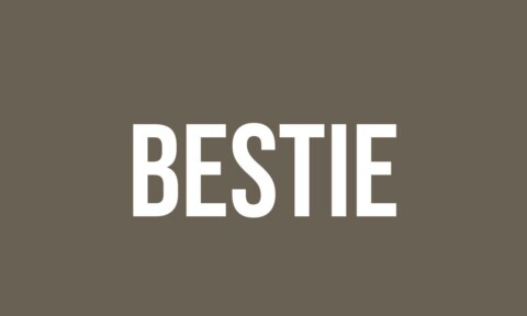 What Does Bestie Mean? - Meaning, Uses and More - FluentSlang