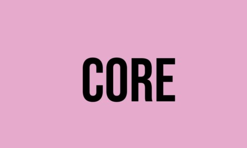CORE WHAT IS THE MEANING visual data 3