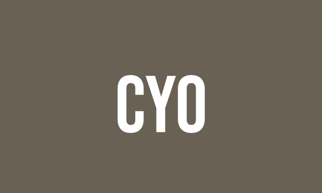 What Is The First Cyo? , 4 Things Every New CEO Should Do in the First ...