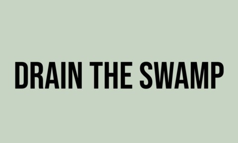 What Does Drain The Swamp Mean? - Meaning, Uses and More - FluentSlang