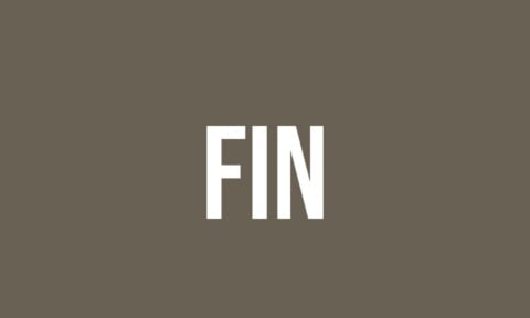What Does Fin Mean? - Meaning, Uses and More - FluentSlang