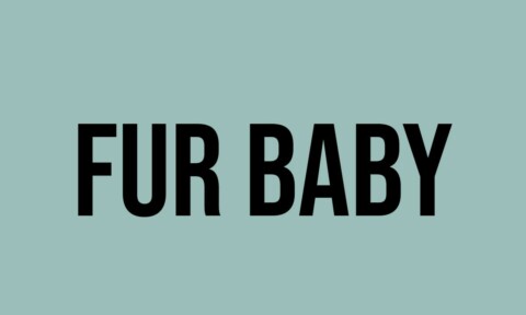 What Does Fur Baby Mean? - Meaning, Uses and More - FluentSlang