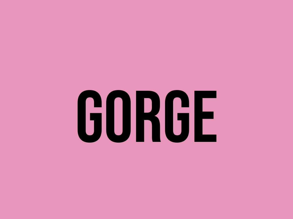 What Does Gorge Mean? - Meaning, Uses and More - FluentSlang