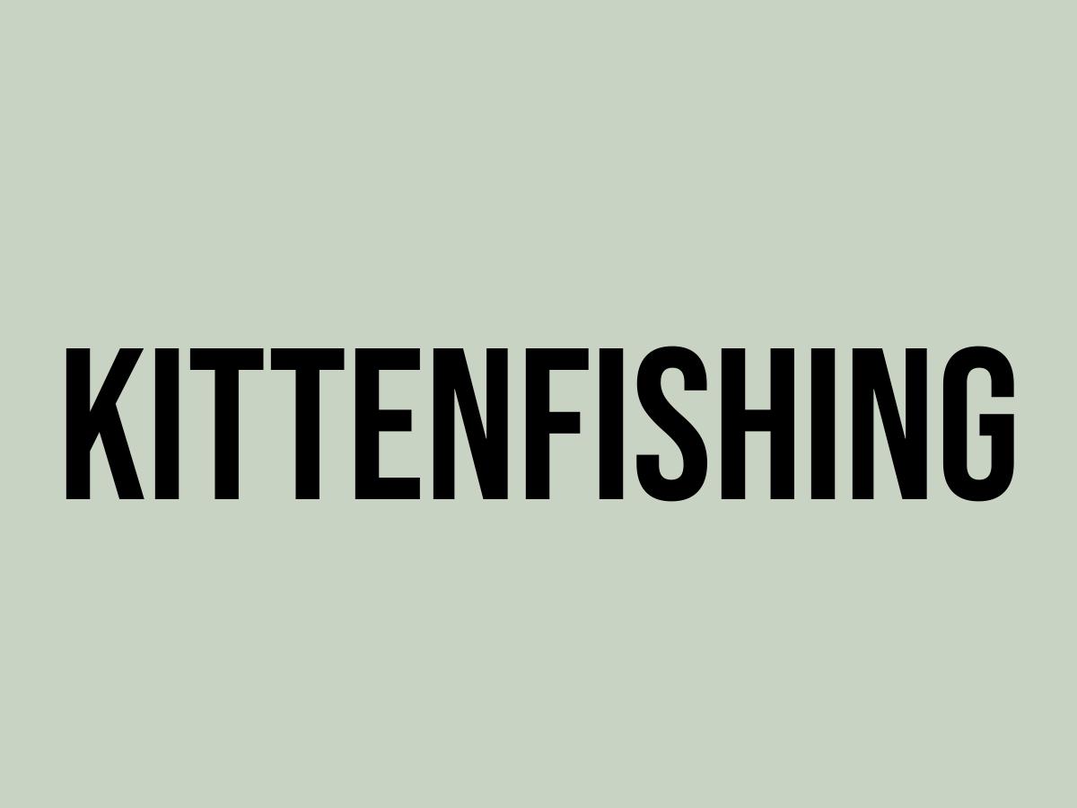 What Does Kittenfishing Mean? Meaning, Uses and More FluentSlang