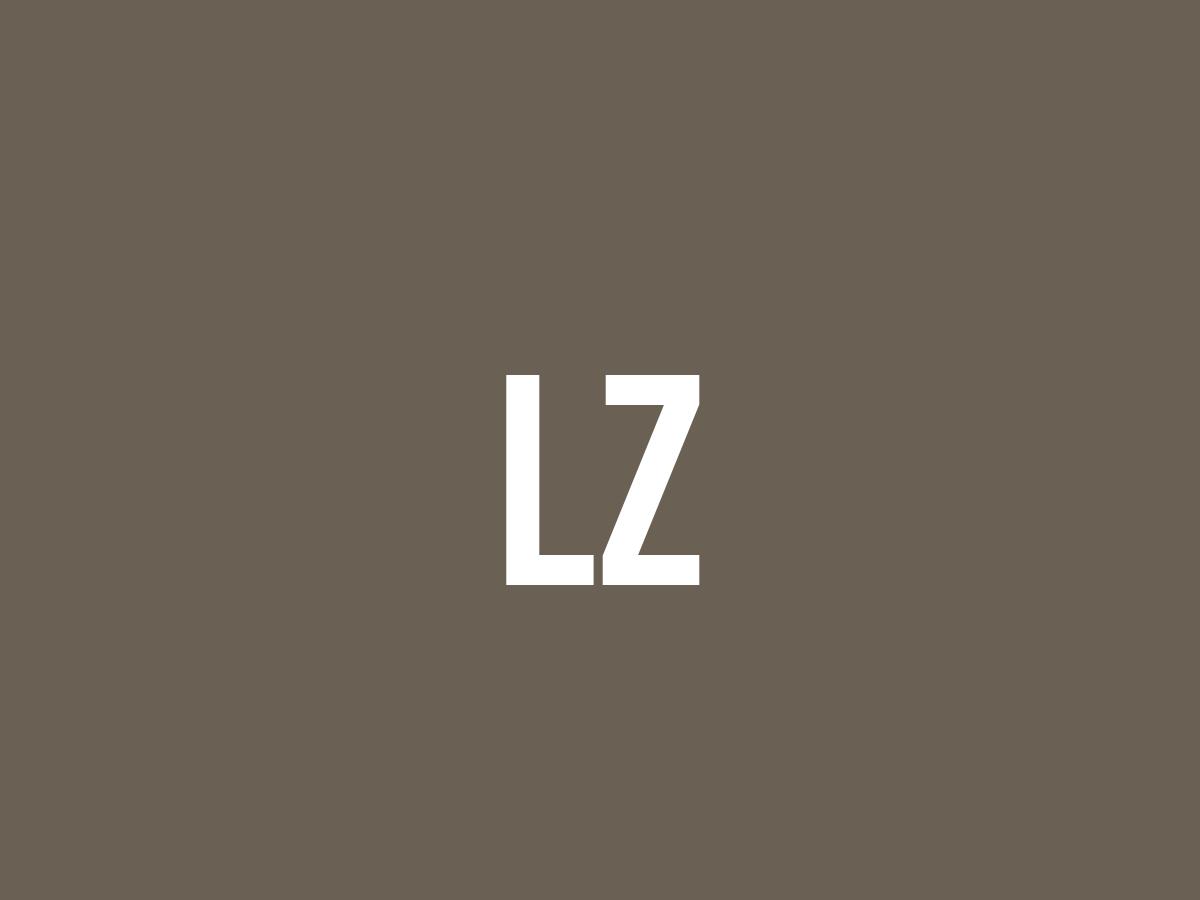 What Does Lz Mean? - Meaning, Uses and More - FluentSlang