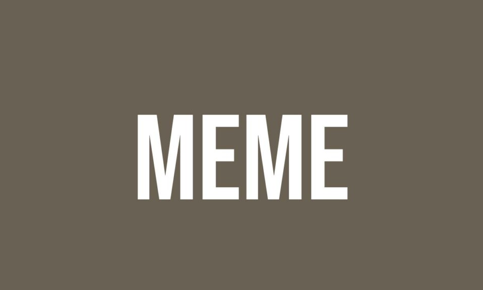 What Does Meme Mean? - Meaning, Uses and More - FluentSlang