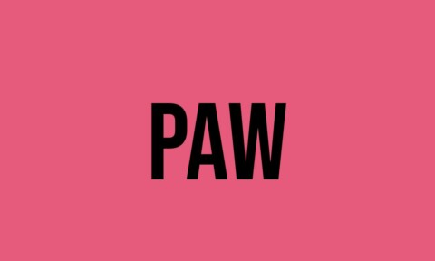 What Does Paw Mean? - Meaning, Uses and More - FluentSlang