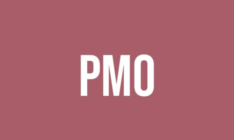 What Does Pmo Mean? - Meaning, Uses and More - FluentSlang