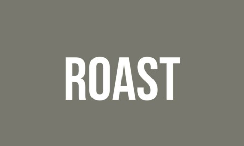What Does Roast Mean? - Meaning, Uses and More - FluentSlang