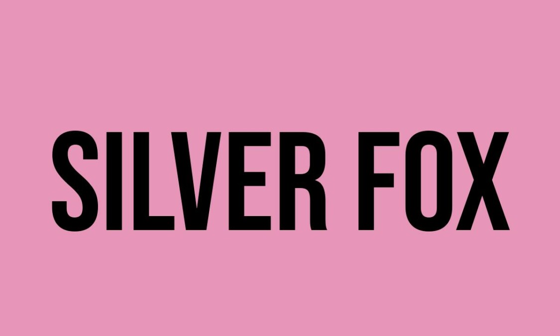What Does Silver Fox Mean? - Meaning, Uses and More - FluentSlang