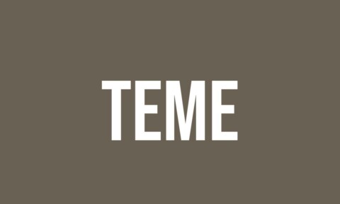 Teme What Does Teme Mean? - Meaning, Uses and More - FluentSlang