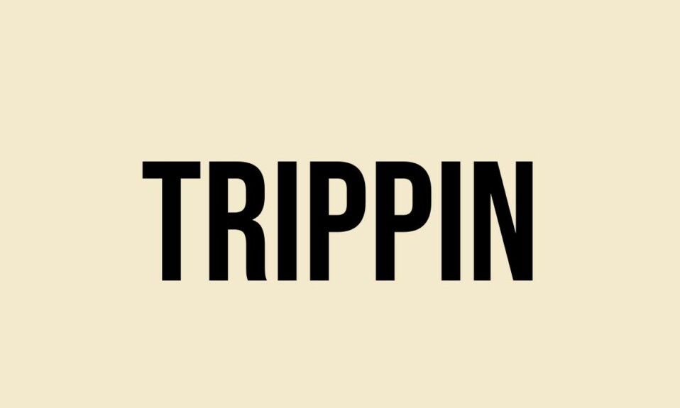 trips meaning slang