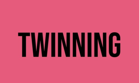 What Does Twinning Mean? - Meaning, Uses and More - FluentSlang