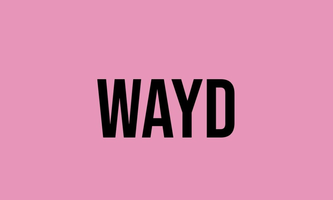 what-does-wayd-mean-meaning-uses-and-more-fluentslang