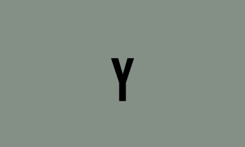 Y DEFINITION MEANING visual data 7