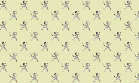 🤺 Person Fencing Emoji Meaning - From Girl & Guy - FluentSlang